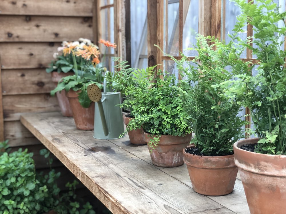April in the Garden