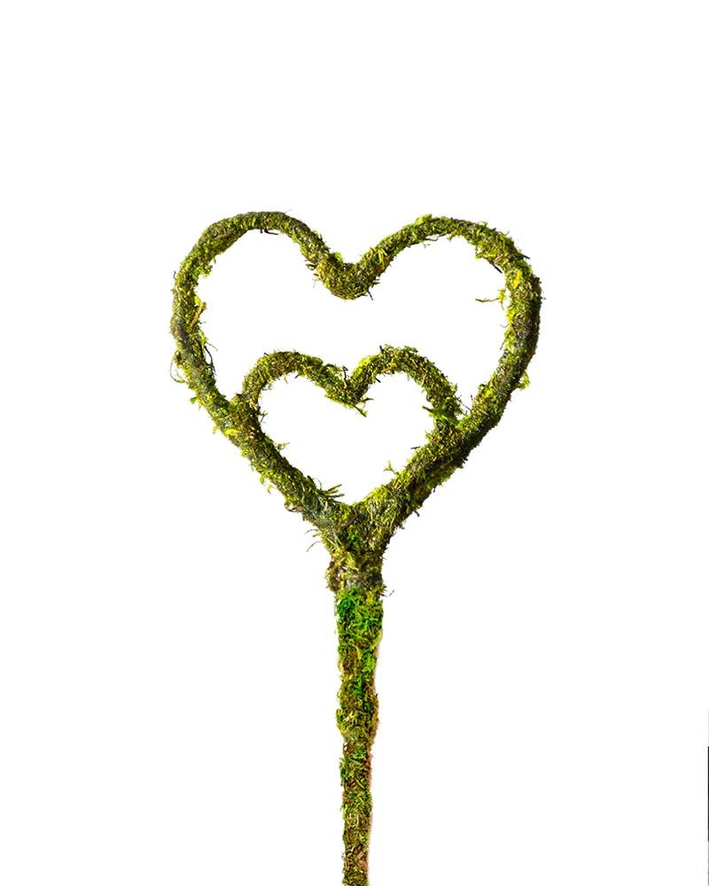 Heart Shaped Moss Pick