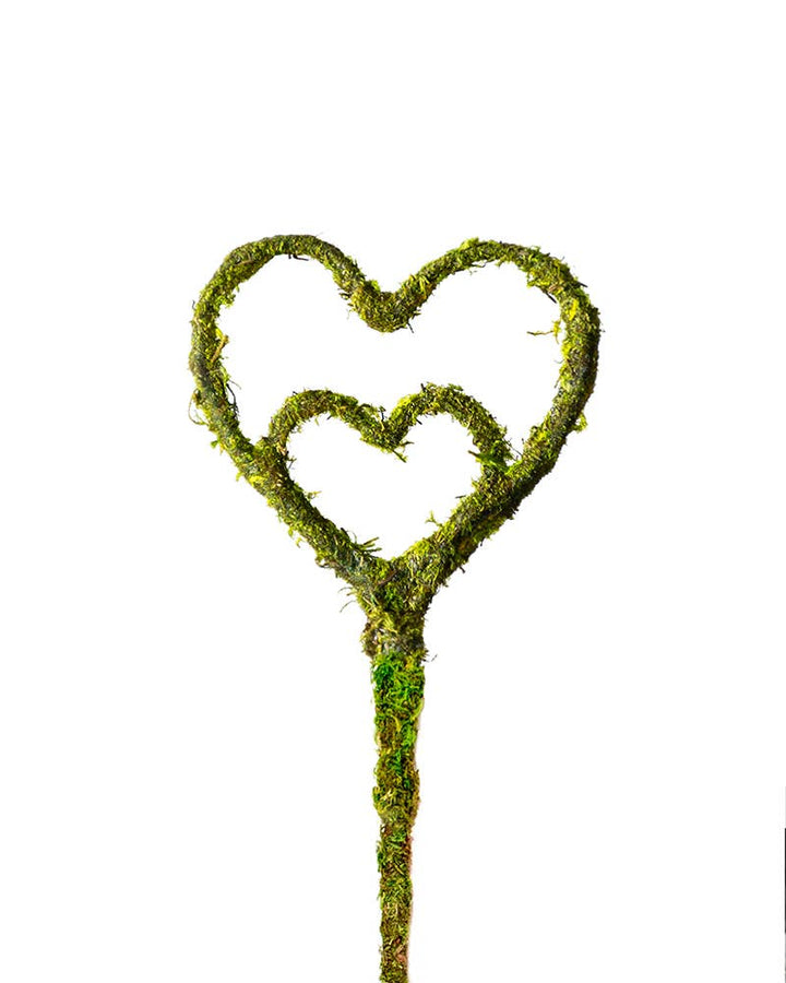 Heart Shaped Moss Pick