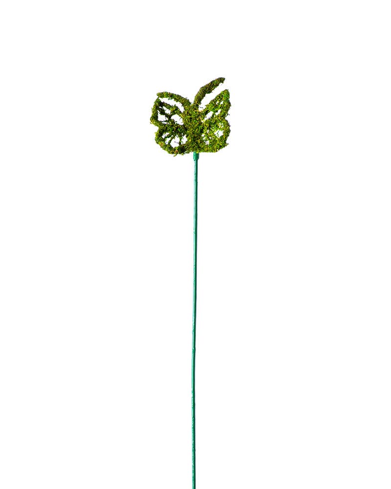 Monarch Moss Pick