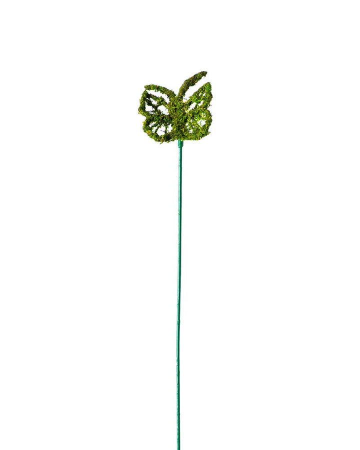 Monarch Moss Pick