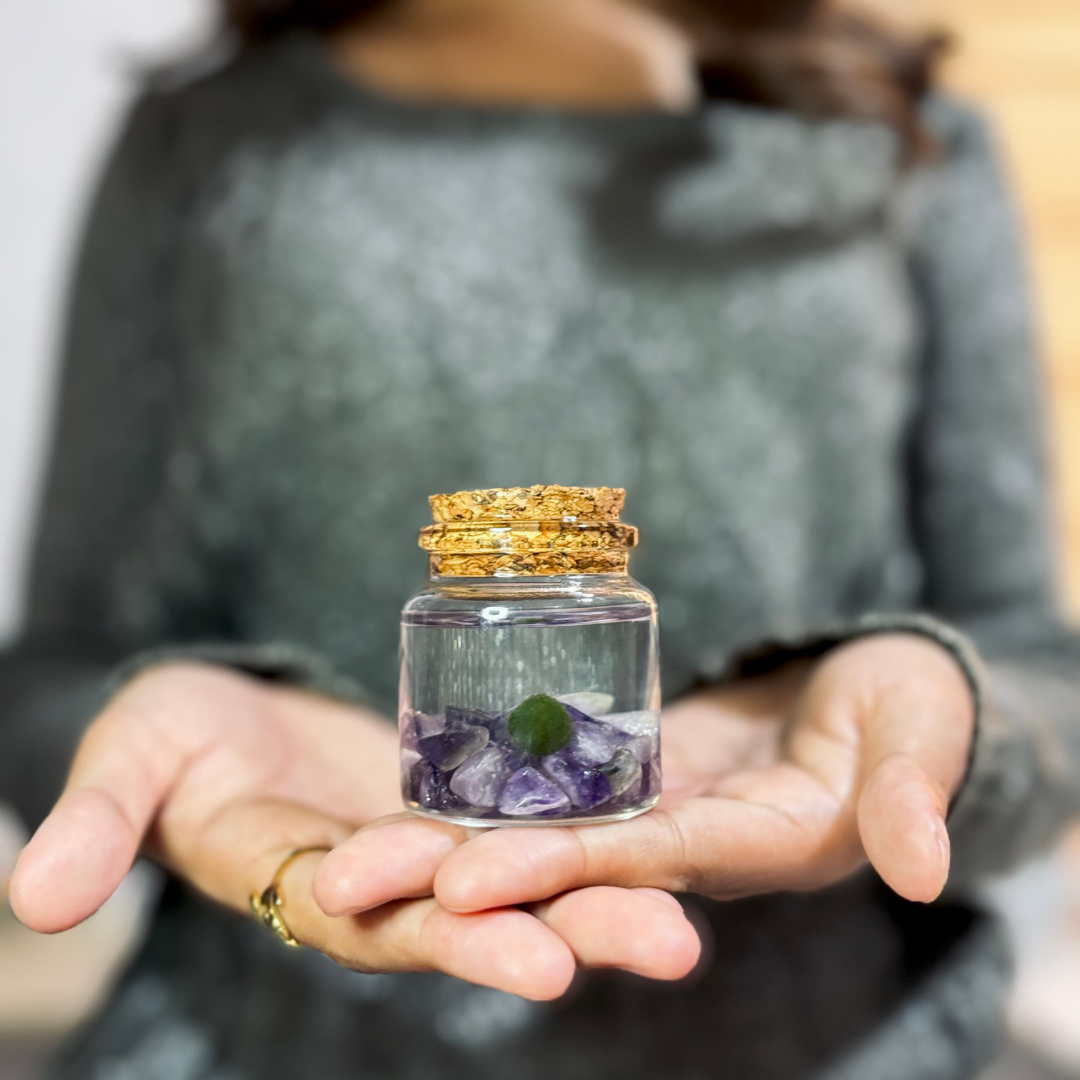 Small Marimo Moss Ball Terrarium with Amethyst Gemstone