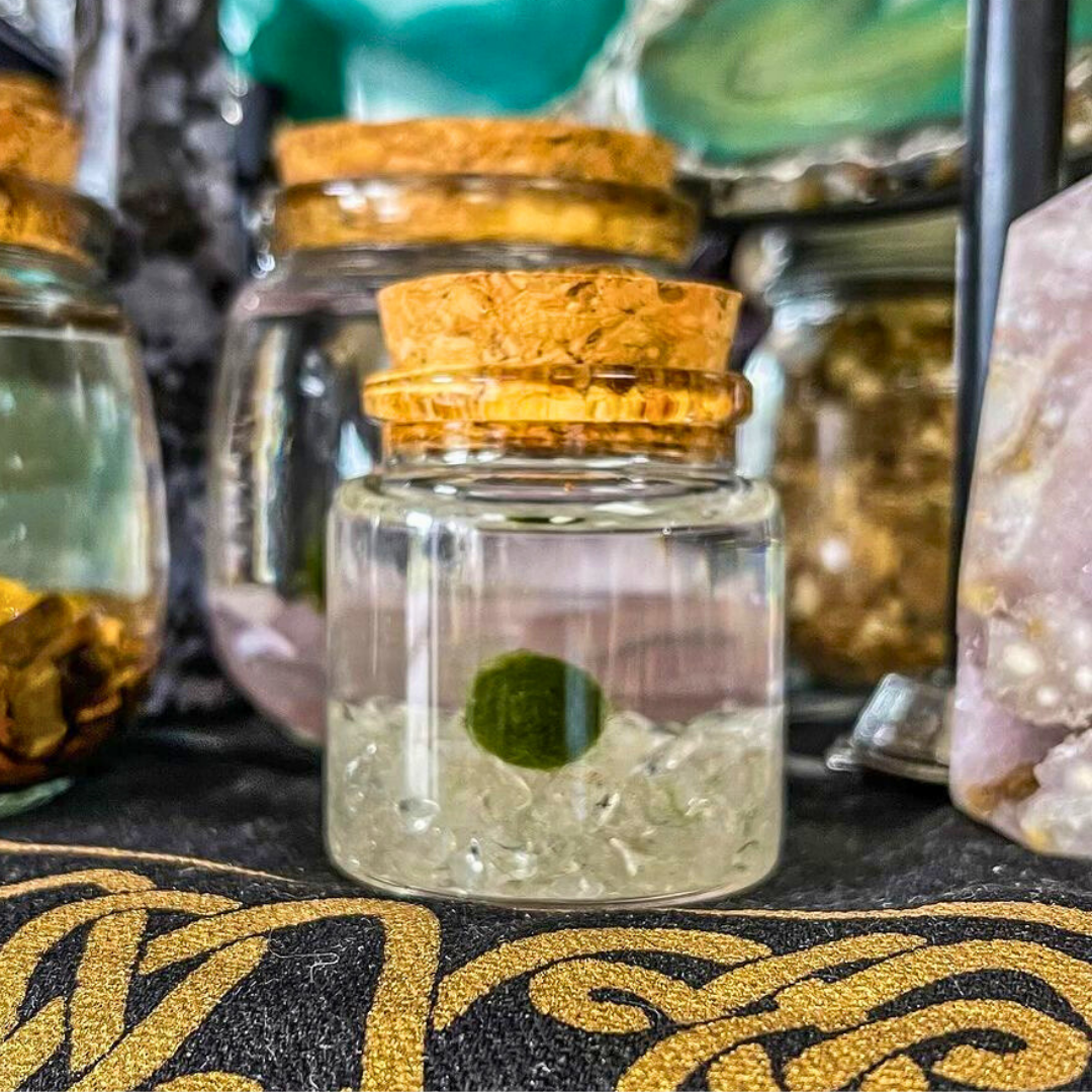 Small Marimo Moss Ball Terrarium with Clear Quartz Gemstones