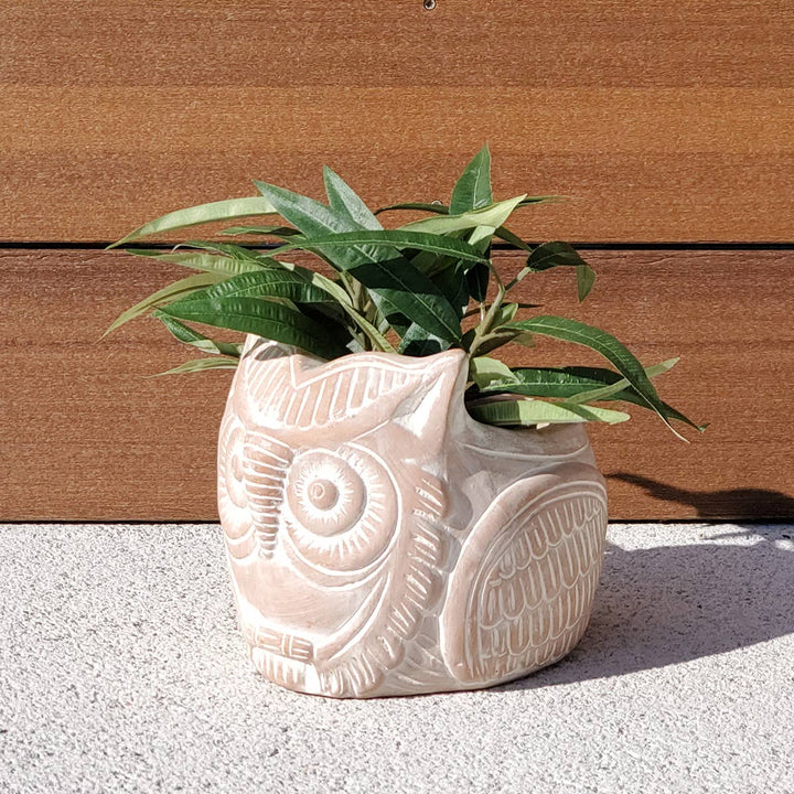 Handmade Planter Pot • Terracotta Pot - Horned Owl