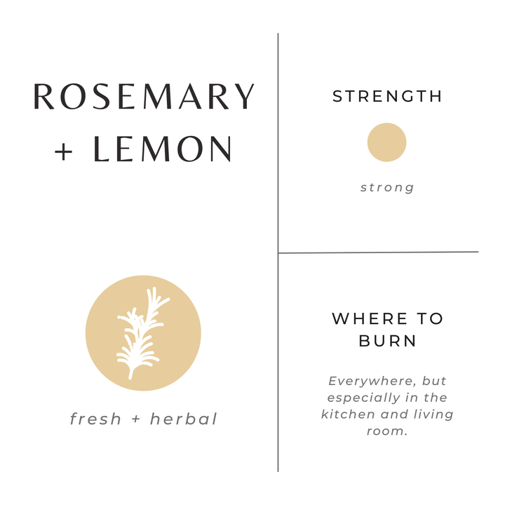 Mini Soy Candles - 2 oz
