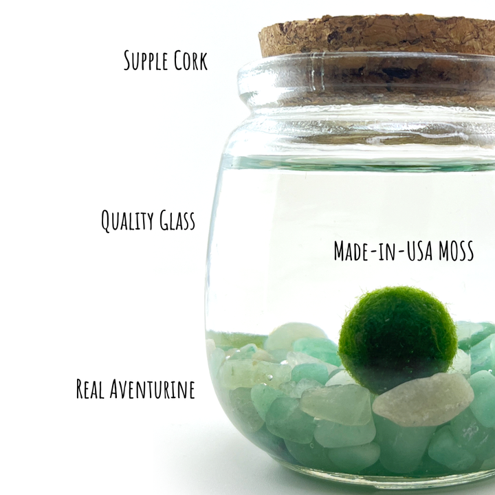 Medium Marimo Moss Ball Terrarium with Aventurine Gemstones