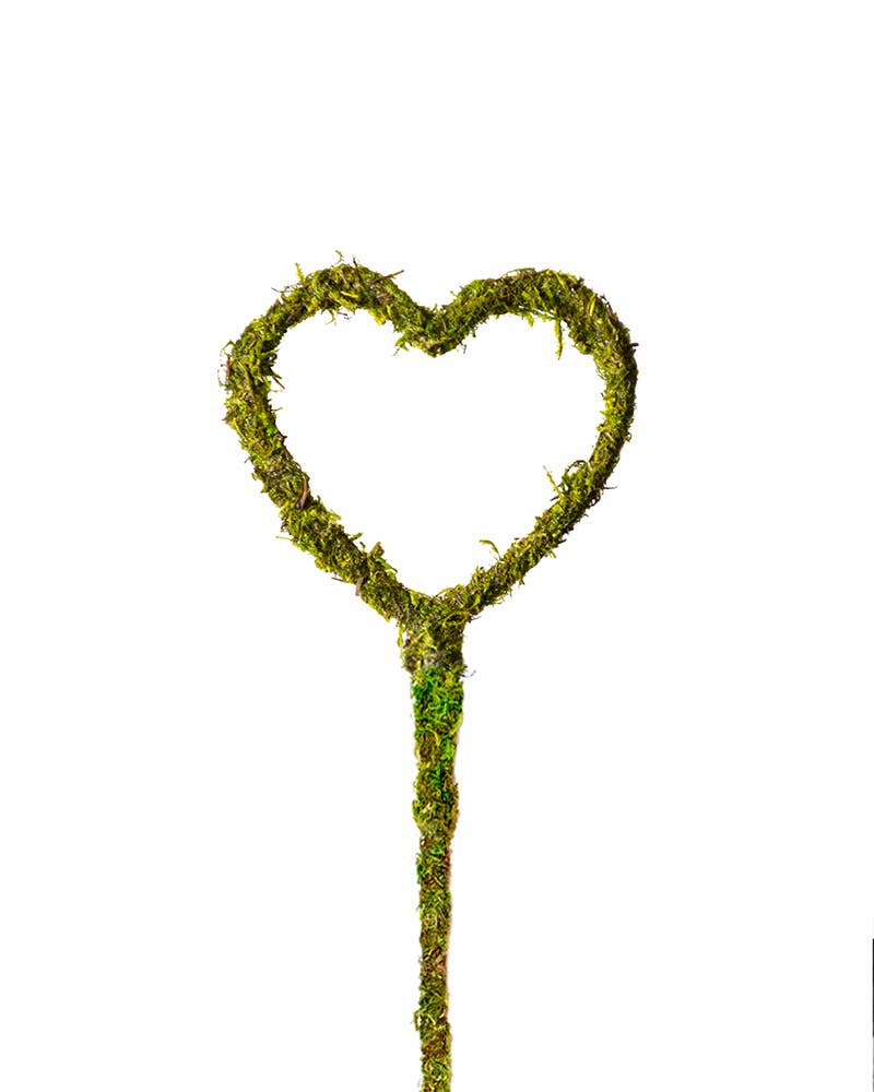 Heart Shaped Moss Pick