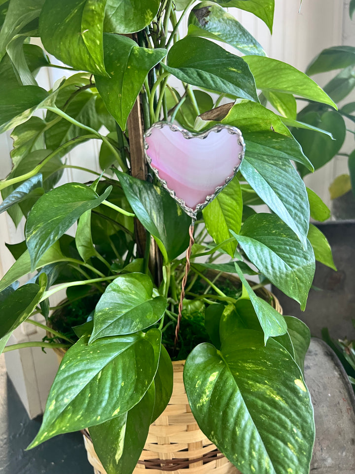 Stained Glass Heart Plant Picks
