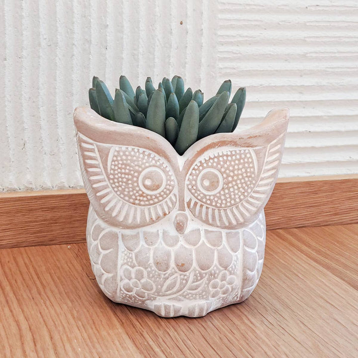 Handmade Planter Pot • Terracotta Pot - Big Eye Owl