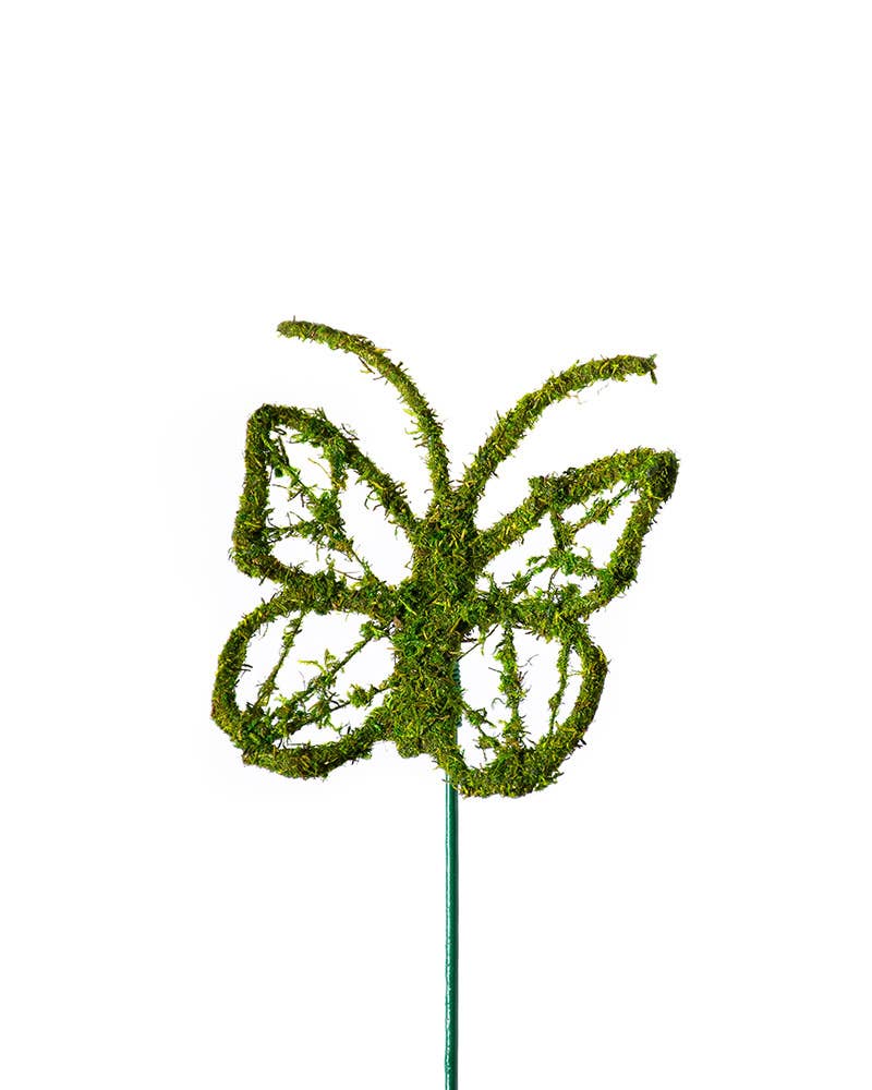 Monarch Moss Pick