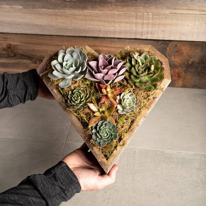 Reclaimed Wood Succulent Heart Planter / Tray