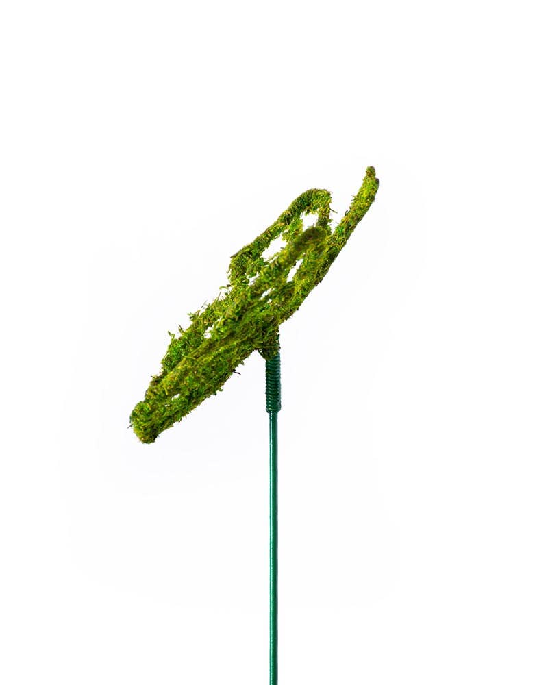 Monarch Moss Pick