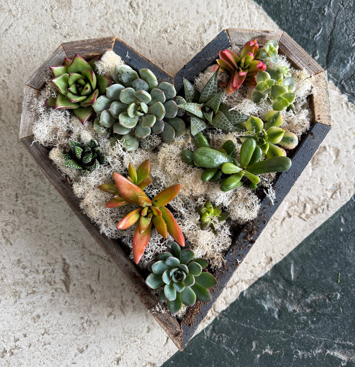 Reclaimed Wood Succulent Heart Planter / Tray