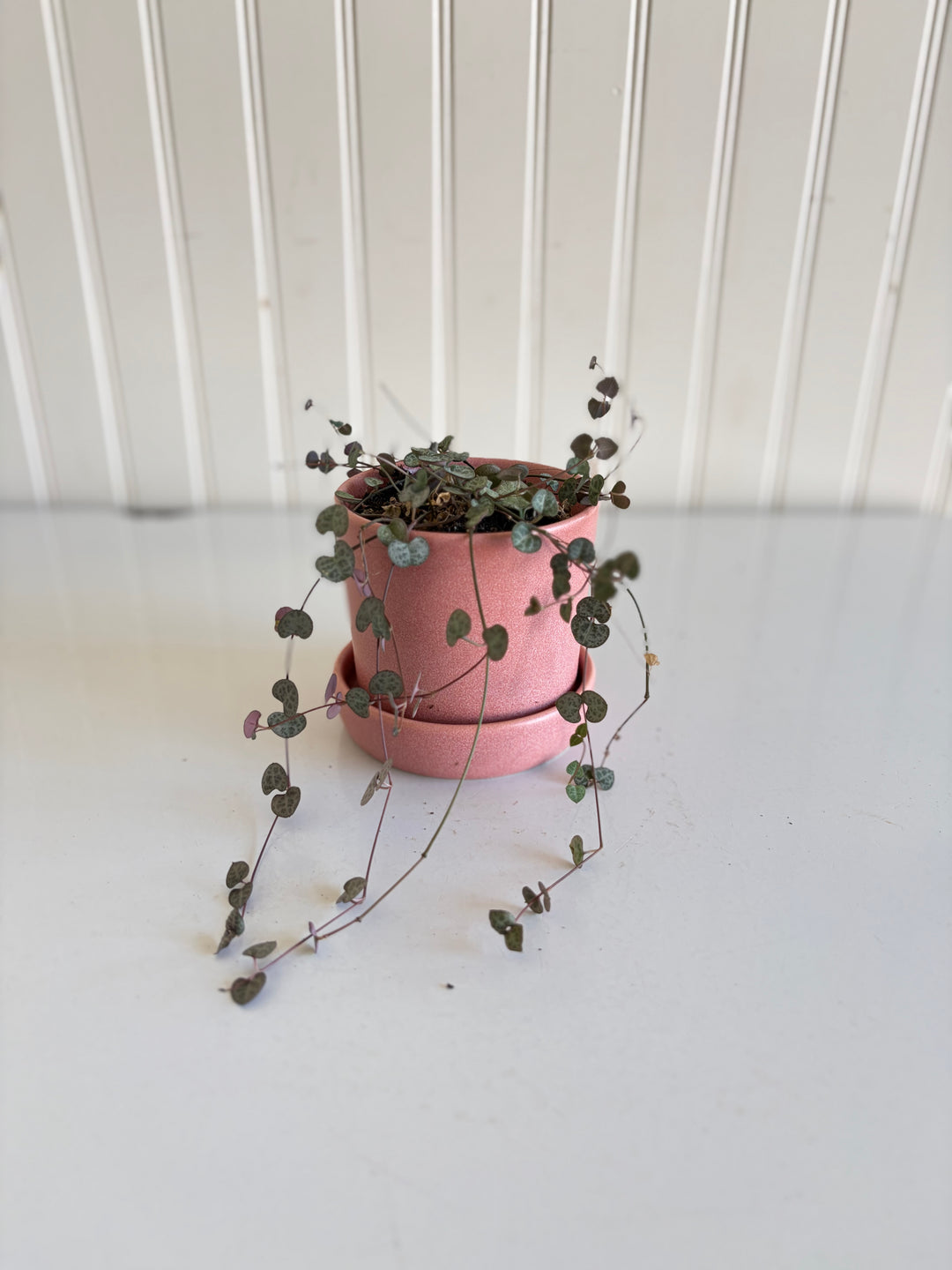 String of Hearts