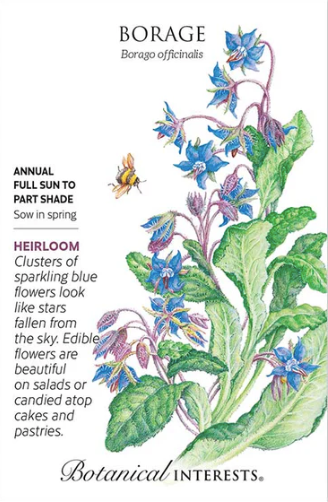 Borage