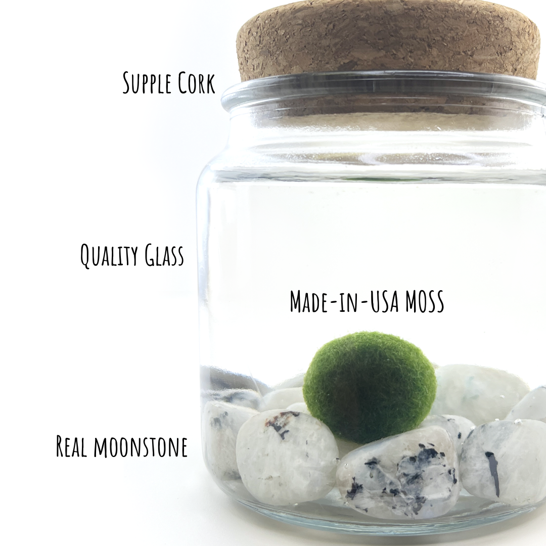 Moonstone Moss Amigo