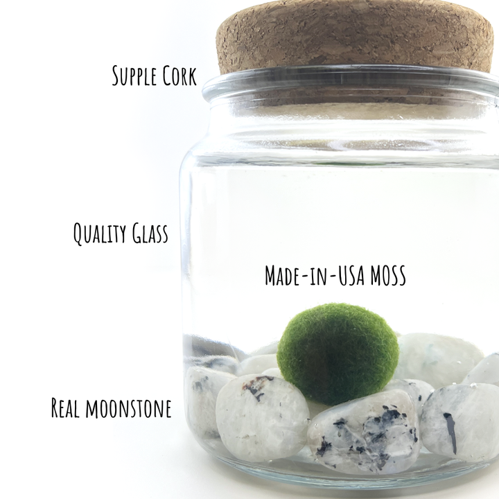 Moonstone Moss Amigo