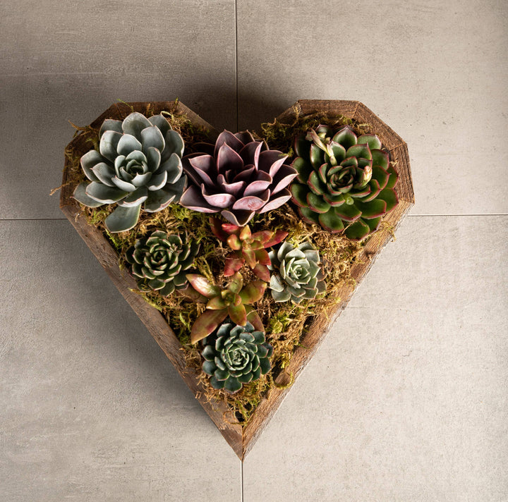 Reclaimed Wood Succulent Heart Planter / Tray