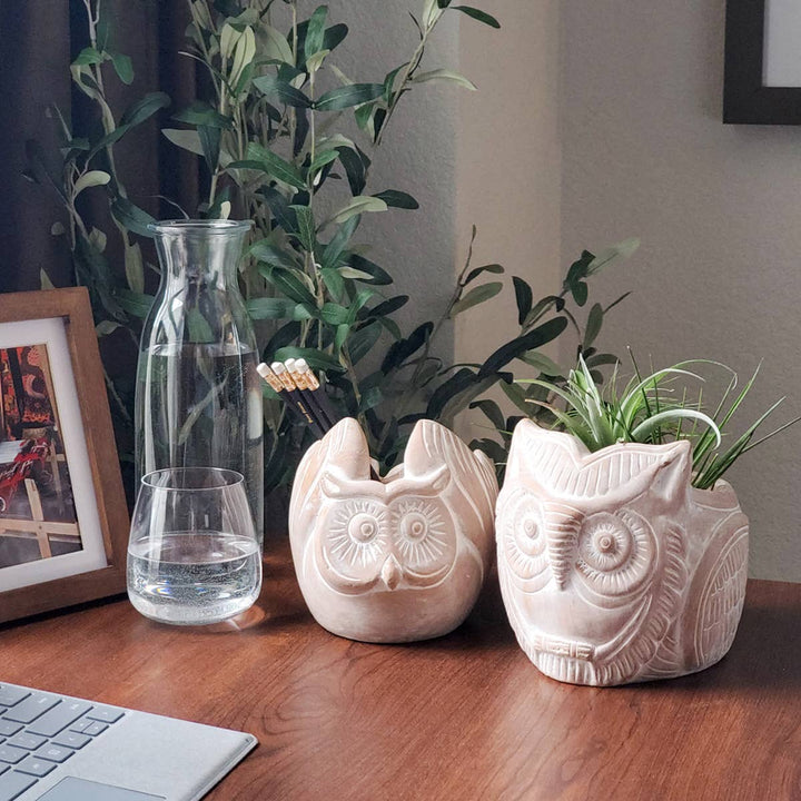 Handmade Planter Pot • Terracotta Pot - Horned Owl