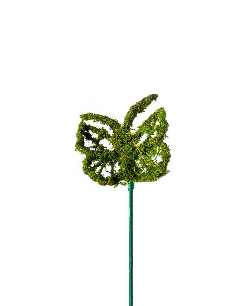 Monarch Moss Pick