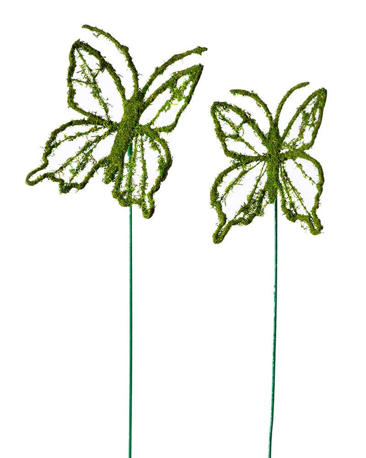 Monarch Moss Pick