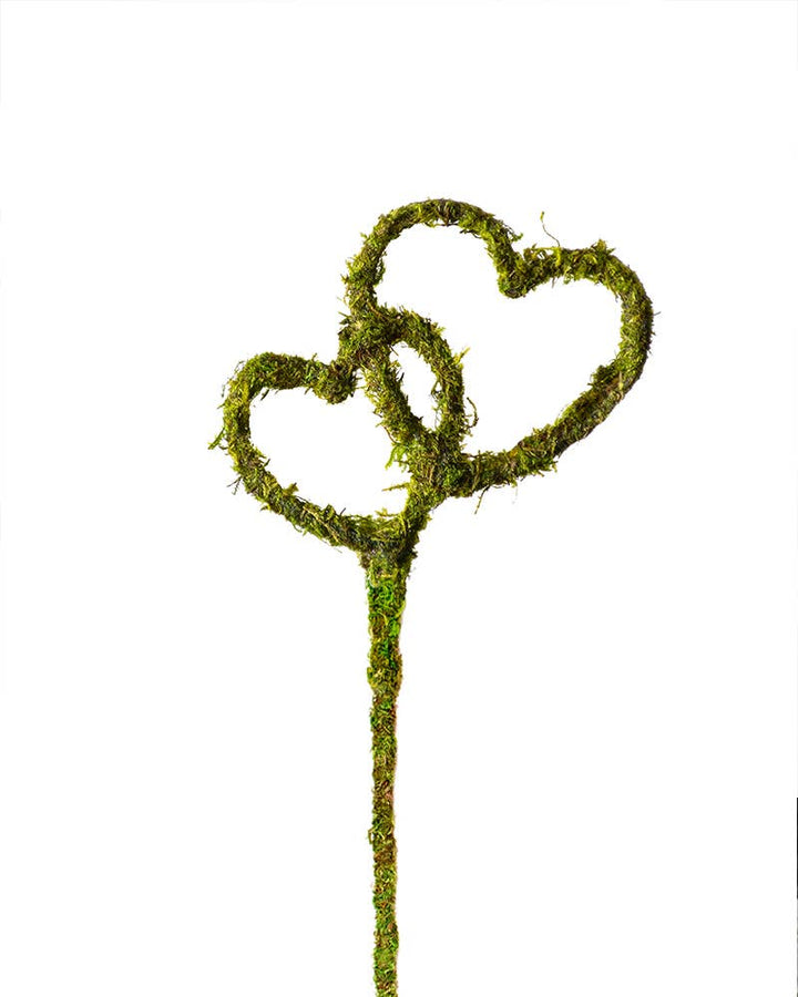 Heart Shaped Moss Pick