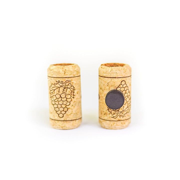 Wine Cork Magnets with Tillandsia Ionantha Air Plants