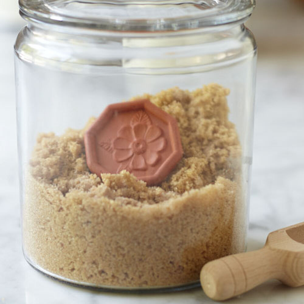 Brown Sugar Saver - Daisy