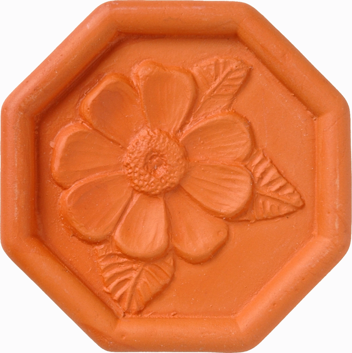 Brown Sugar Saver - Daisy